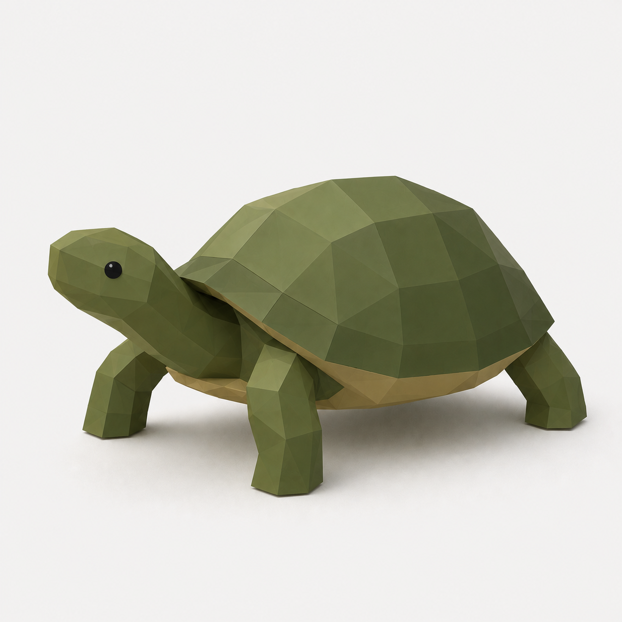 TallTurtle